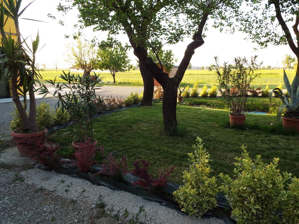 B&B Il Portico Praticello di Gattatico Eksteriør billede